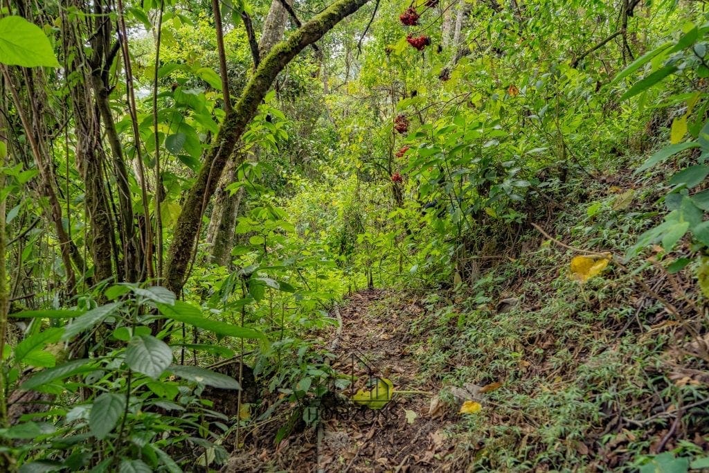 Casa de Montaña en Venta en Coronado, San José – Rodeada de Naturaleza, 8,900 m² NJA601
