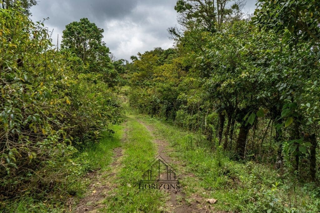 Casa de Montaña en Venta en Coronado, San José – Rodeada de Naturaleza, 8,900 m² NJA601
