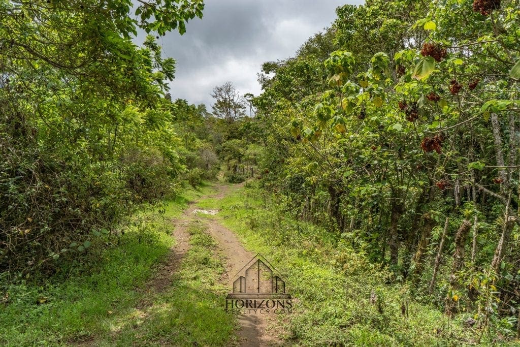 Casa de Montaña en Venta en Coronado, San José – Rodeada de Naturaleza, 8,900 m² NJA601