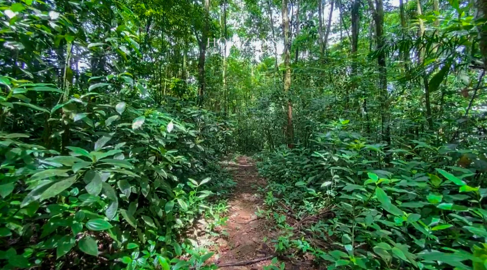 For Sale 24 Acre Land in Sarapiquí Costa Rica NJA871