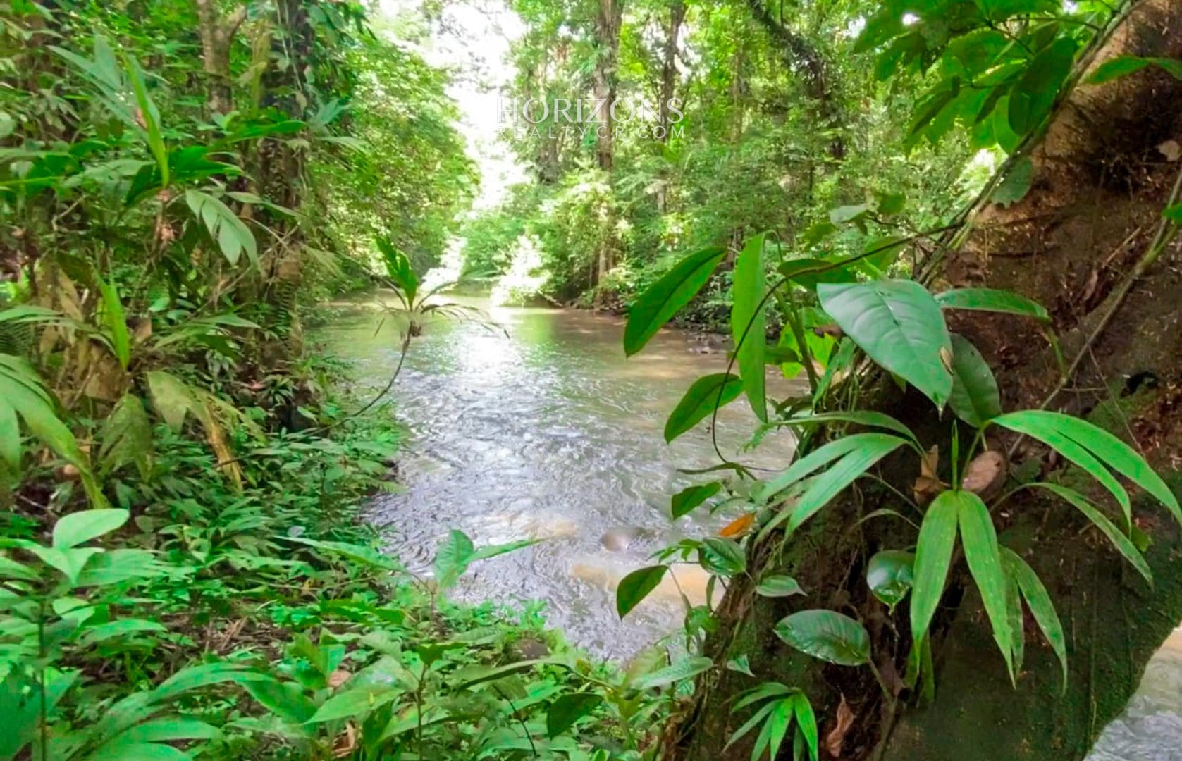 For Sale 24 Acre Land in Sarapiquí Costa Rica NJA871