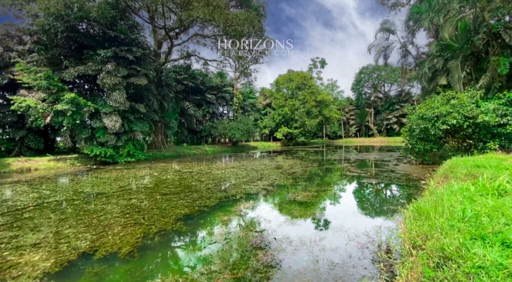 24 Acre Land For Sale In Sarapiquí Heredia Costa Rica Nja871