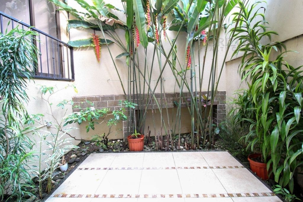 Venta de Casa Independiente en Guayabos Curridabat 3 Habitaciones y Jardín nja1177
