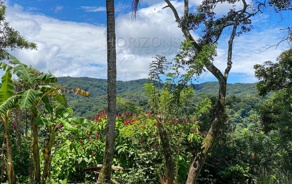 VENTA DE QUINTA EN CIUDAD COLON 3760m2 CON HERMOSA VISTA nja938