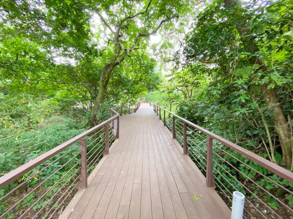Alquiler Apartamento Nuevo 3 Balcones Hermosa Vista 2 Dormitorios Santa Ana Njv95