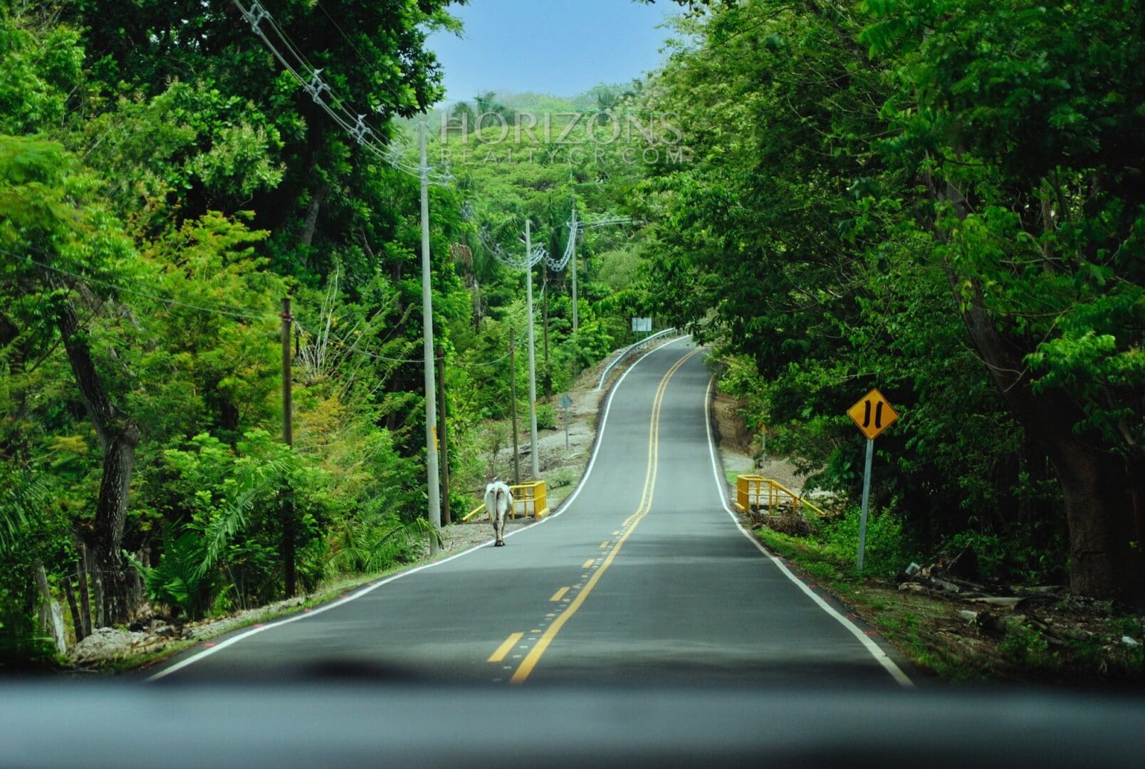 1.2 Acre Land for Sale Between Nosara and Samara in Nicoya Guanacaste Costa Rica 5 Minute Drive to the Beach NJV160