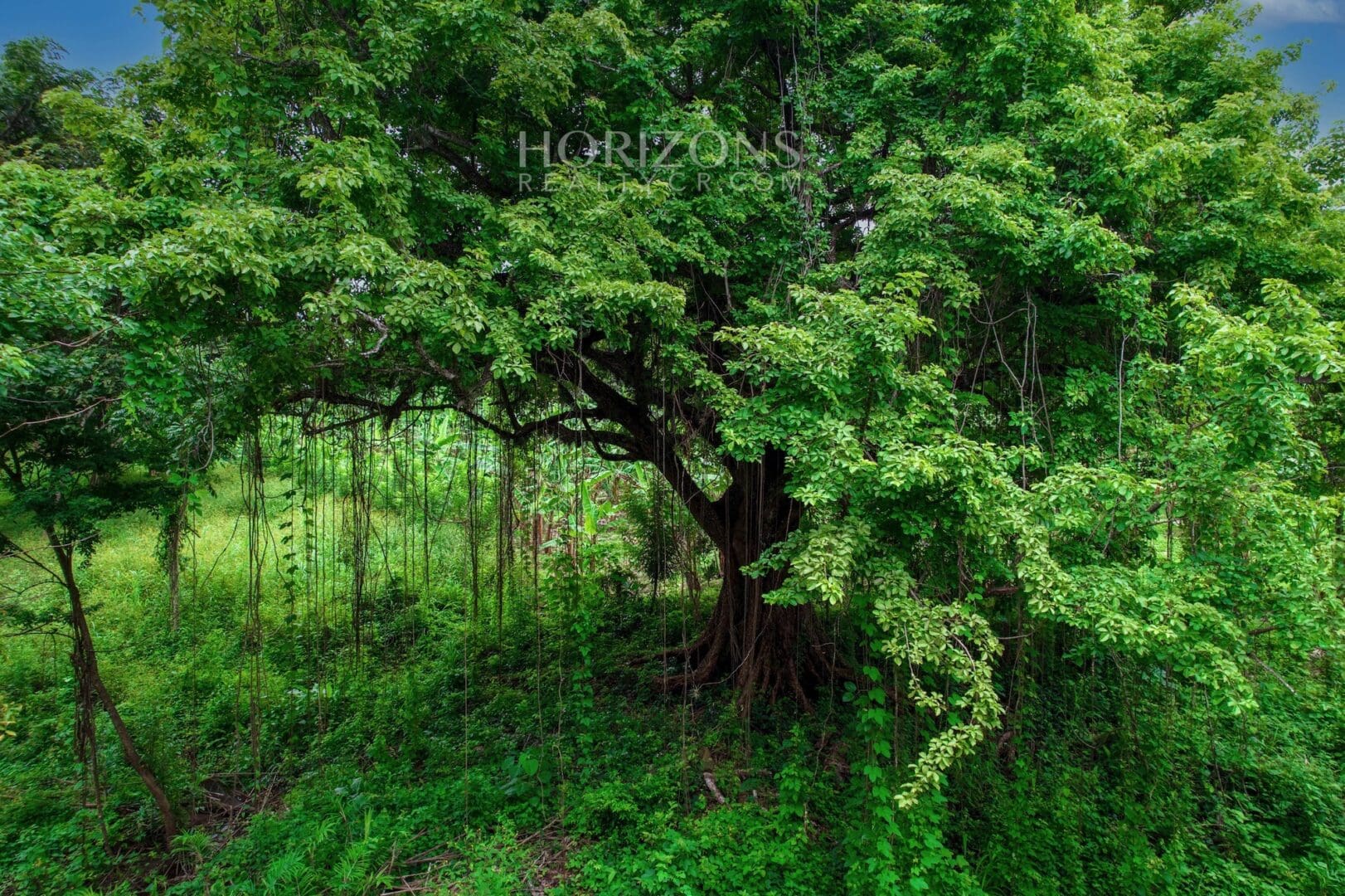 1.2 Acre Land for Sale Between Nosara and Samara in Nicoya Guanacaste Costa Rica 5 Minute Drive to the Beach NJV160