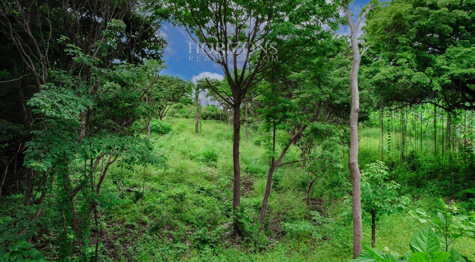 1.2 Acre Land for Sale Between Nosara and Samara in Nicoya Guanacaste Costa Rica 5 Minute Drive to the Beach NJV160