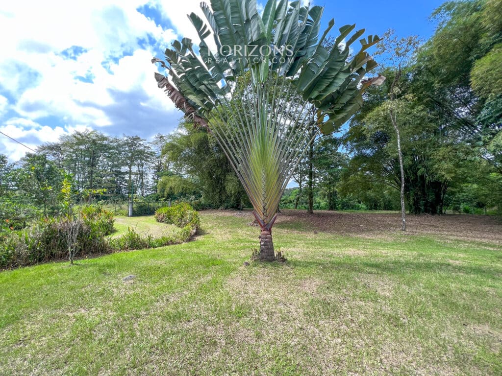Hermosa Propiedad Con Moderna Casa en Horquetas de Sarapiquí nja1077