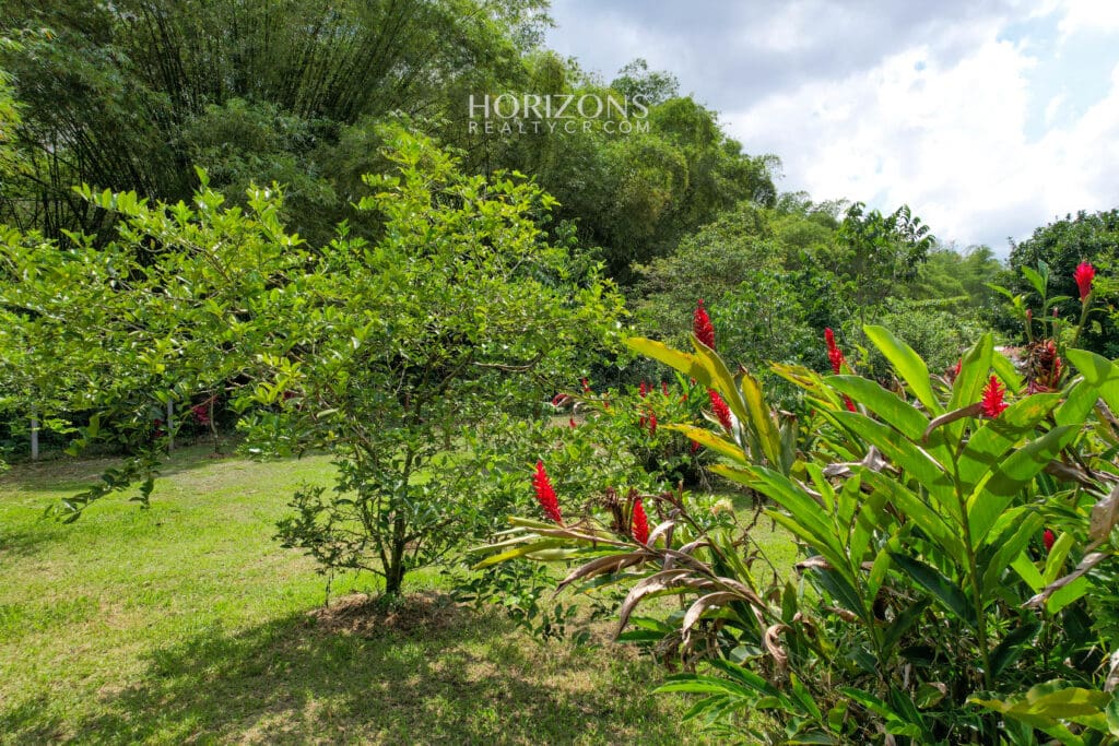 Hermosa Propiedad Con Moderna Casa en Horquetas de Sarapiquí nja1077