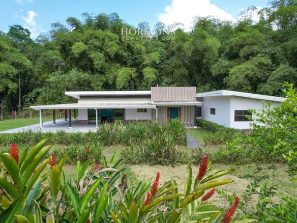Hermosa Propiedad Con Moderna Casa En Horquetas De Sarapiquí Nja1077