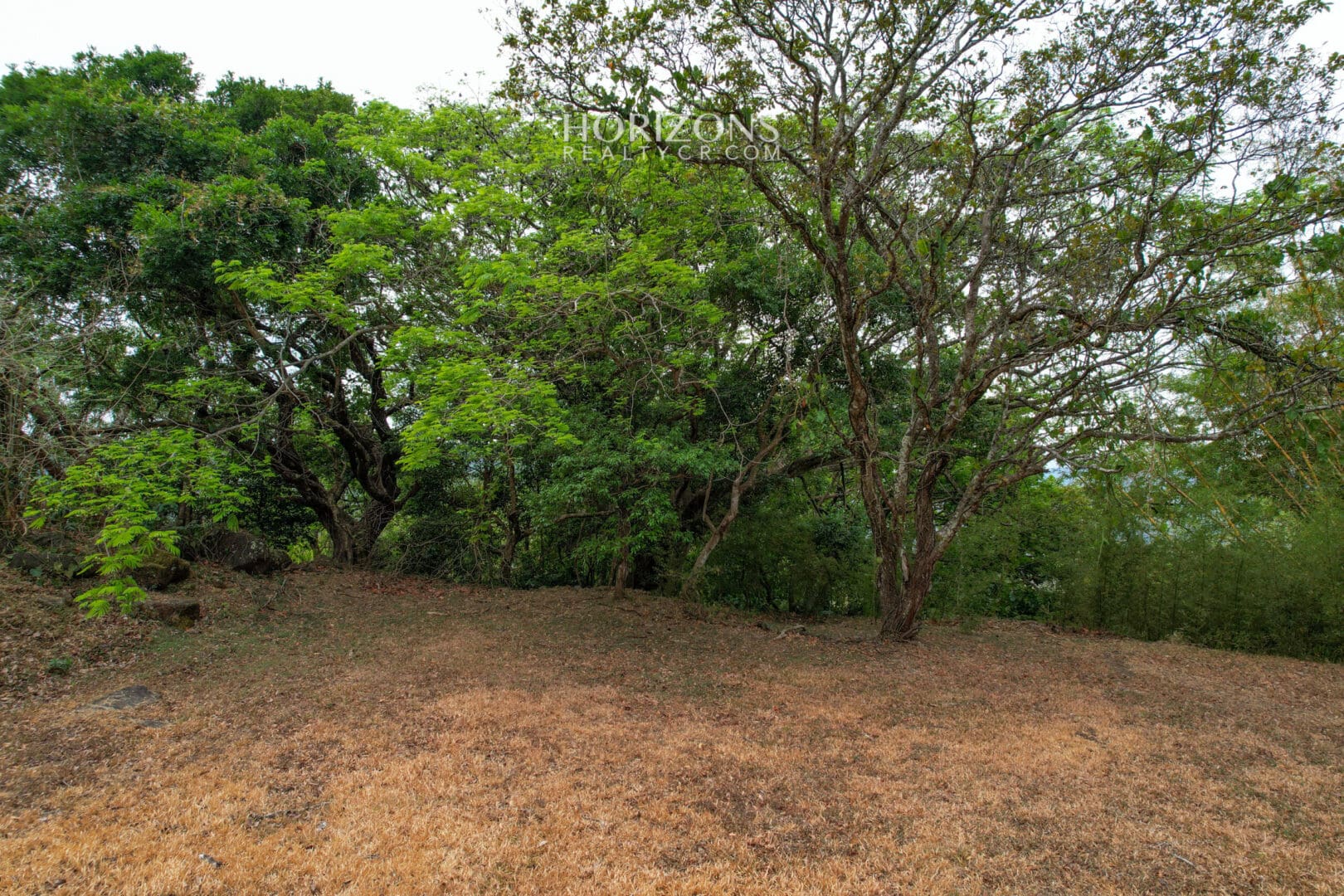 Lote de 1325m² Vista a la Naturaleza en Hacienda los Reyes la Guácima Alajuela njr60