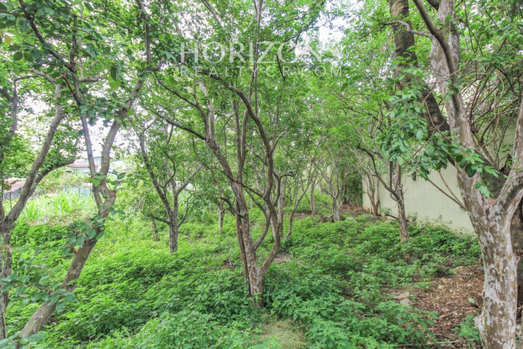 VENTA DE LOTE POR COSTA RICA COUNTRY CLUB ESCAZU njv254