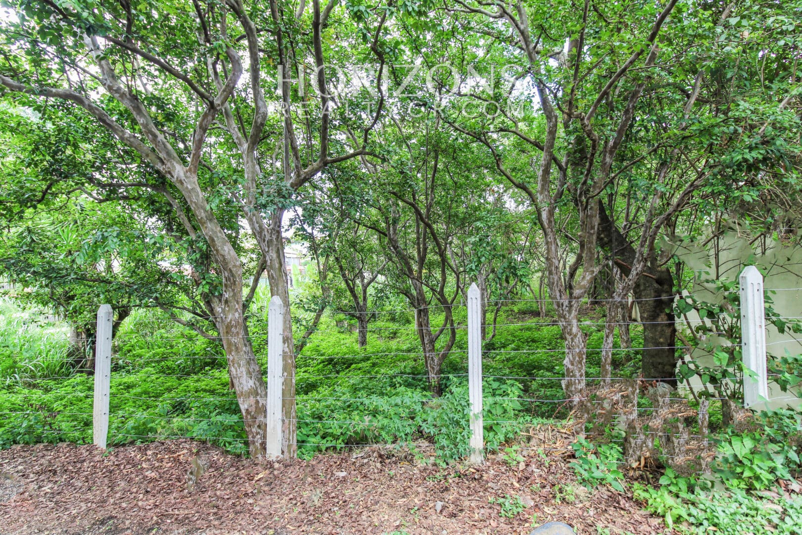 VENTA DE LOTE POR COSTA RICA COUNTRY CLUB ESCAZU njv254