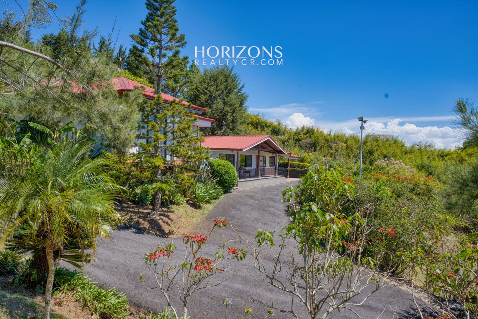 Propiedad de 36,692 m² en Venta en La Angelina, Cartago – Dos Casas, Bosque Primario y Vistas a las Montañas NJC06