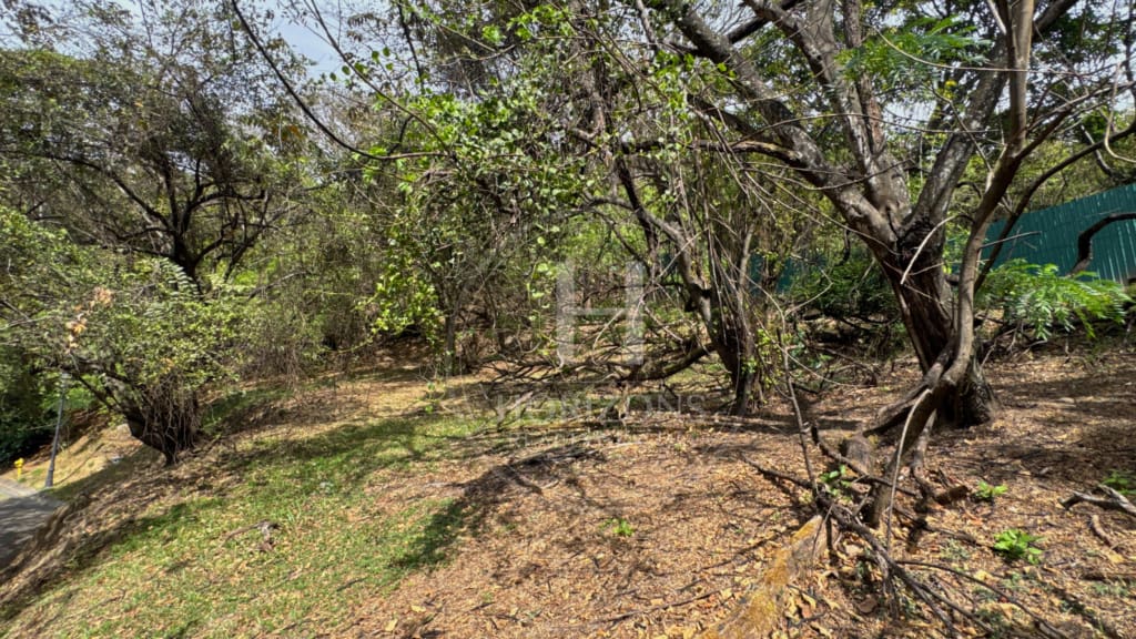 Lote 1991m2 en Eco- Residencial Villa Real San Ana Vistas Panorámicas nja1335