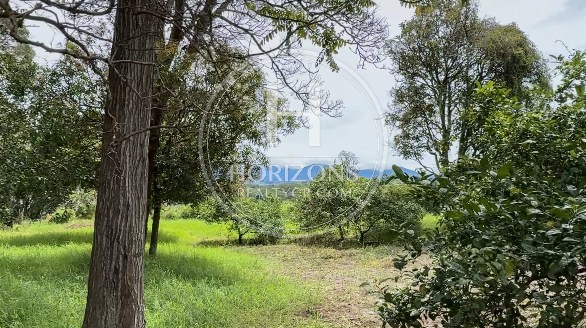 Terreno Para desarrollo 3.31 Ha Hectáreas Potencial de Desarrollo Residencial Santo Domingo / Tibás  de Heredia con Pozo Propio nja1363