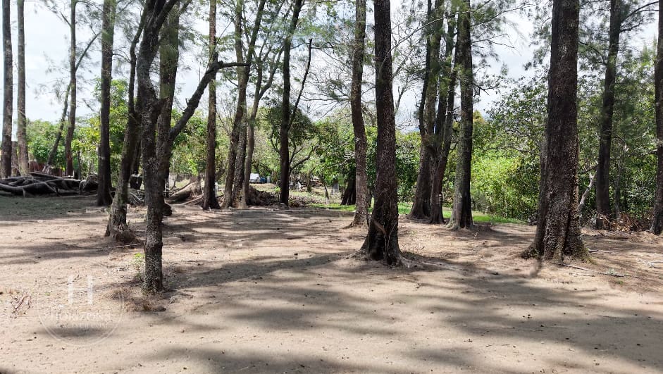 Venta Terreno para Desarrollo 5.000 m² Uso de Suelo Mixto y Alta Densidad en Guachipelín de Escazú nja1217jb