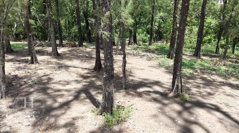 Venta Terreno para Desarrollo 5.000 m² Uso de Suelo Mixto y Alta Densidad en Guachipelín de Escazú nja1217jb
