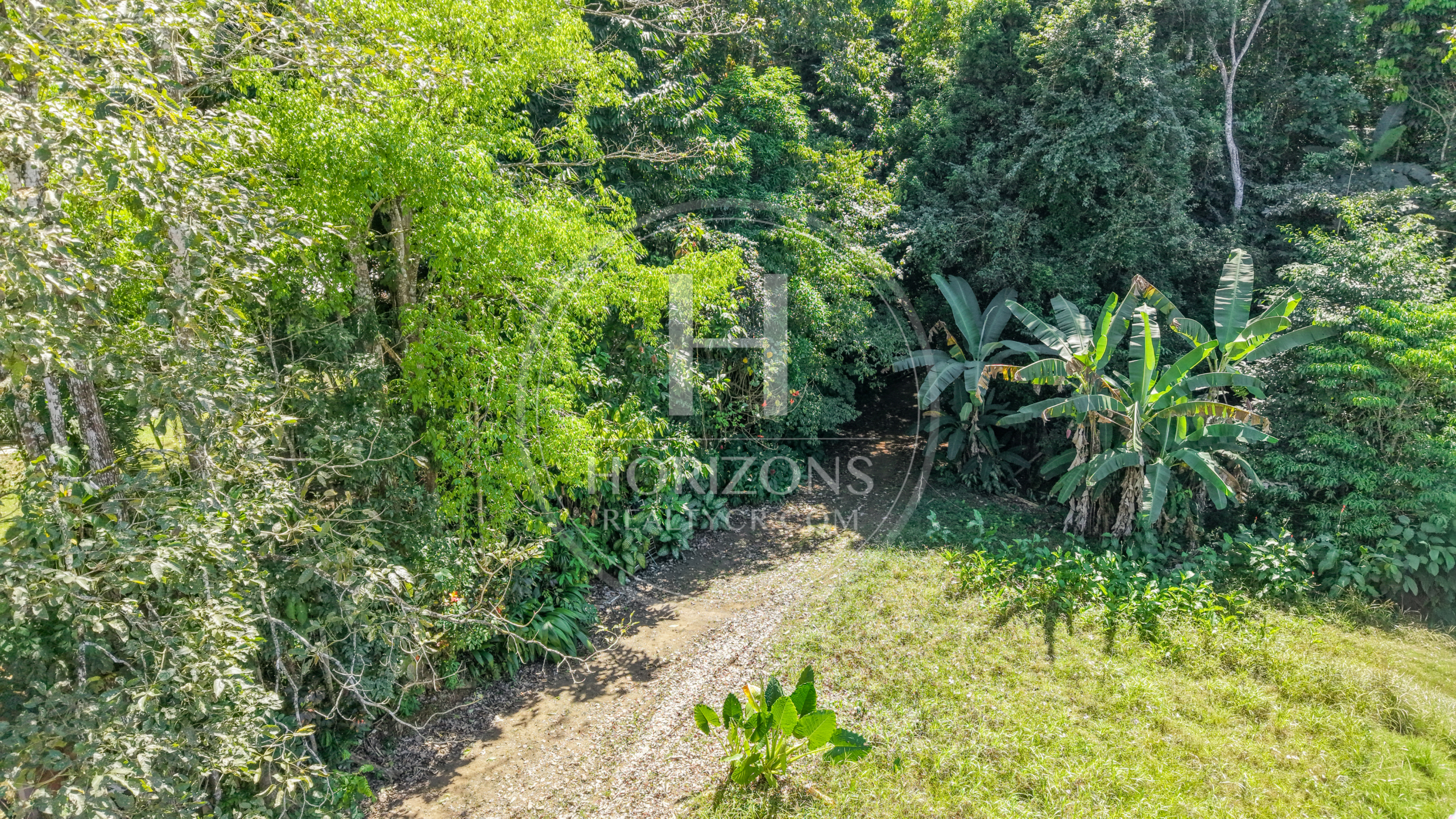 Terreno en Venta en Quebrada Ganado con Uso de Suelo Turístico, Comercial y Residencial 8,619 m² noj1275or
