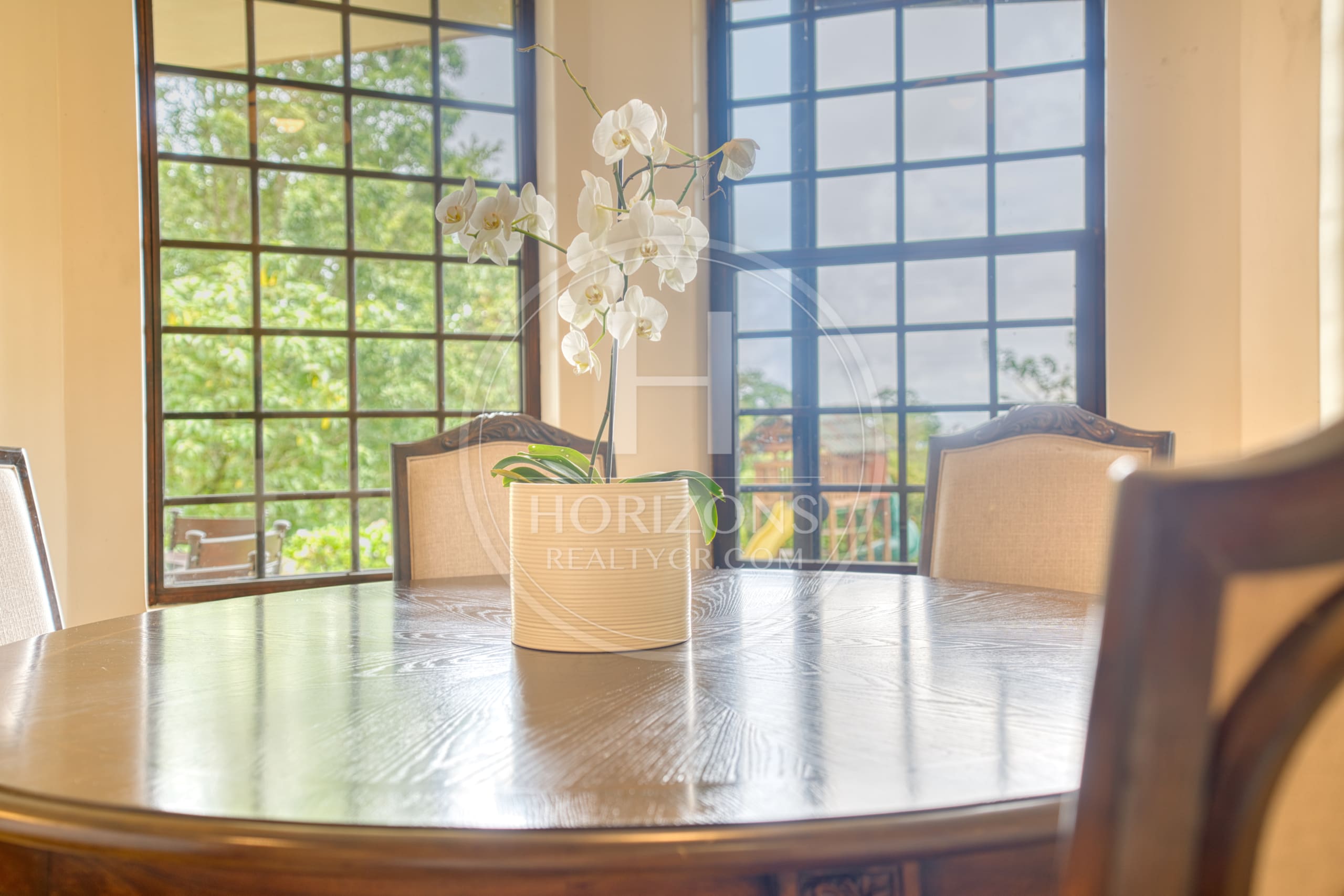 Casa de Lujo en Venta en Mata de Plátano Goicoechea con 9,258 m² de Terreno y Vistas al Valle Central noj1274jp