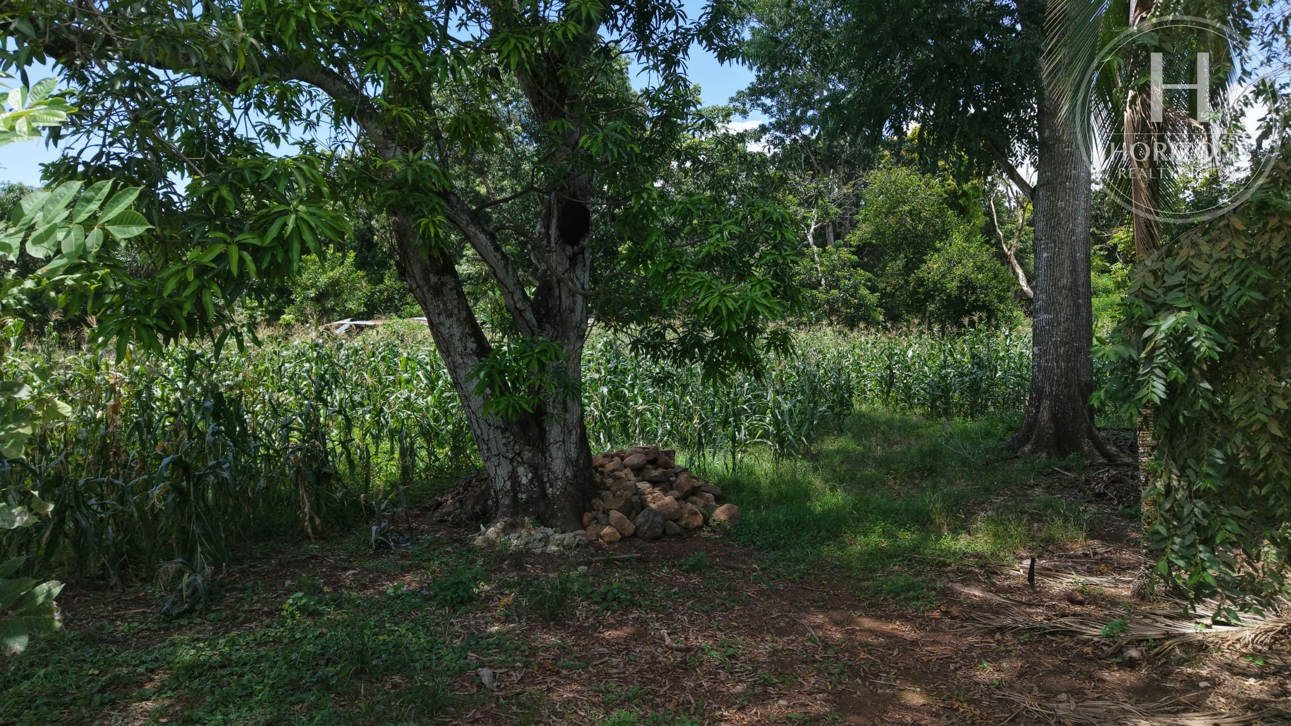 Venta Terreno Orotina - vista interior