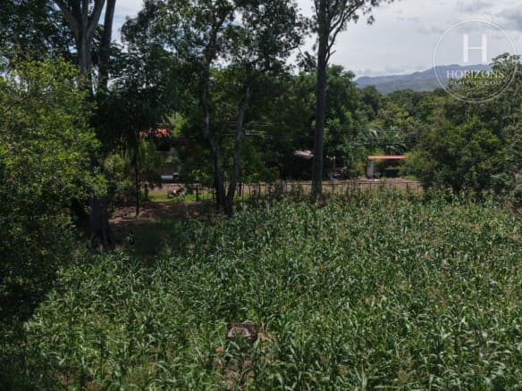 Venta Terreno Orotina Nja1431Jb