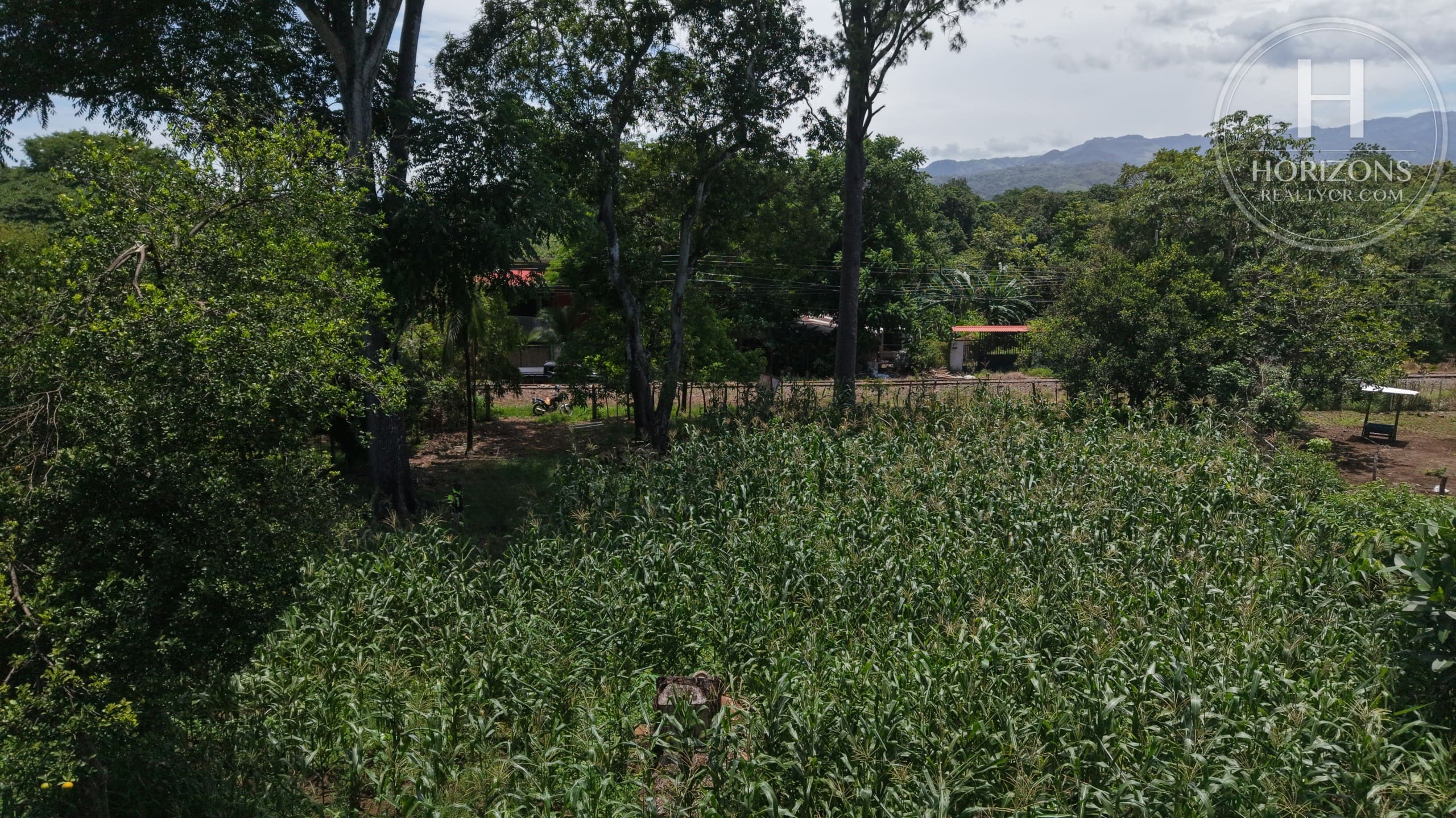 Se Vende Terreno De 2.942 M² En Orotina, Alajuela  Nja1431Jb
