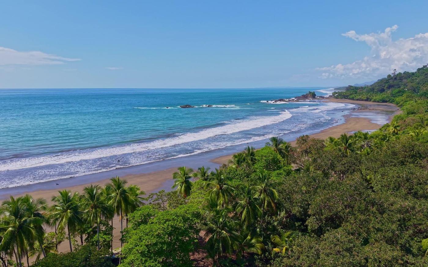 South Pacific beach framed by rainforest